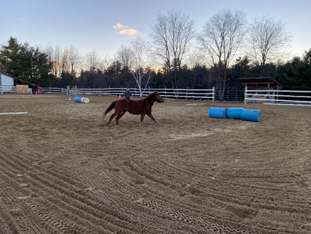 CONFIDENCE IN HORSE JUMPING – DVR Equestrian Ltd